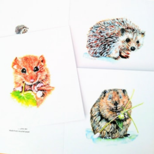 'Love it, Look after it' Wildlife Cards *SOLD!*